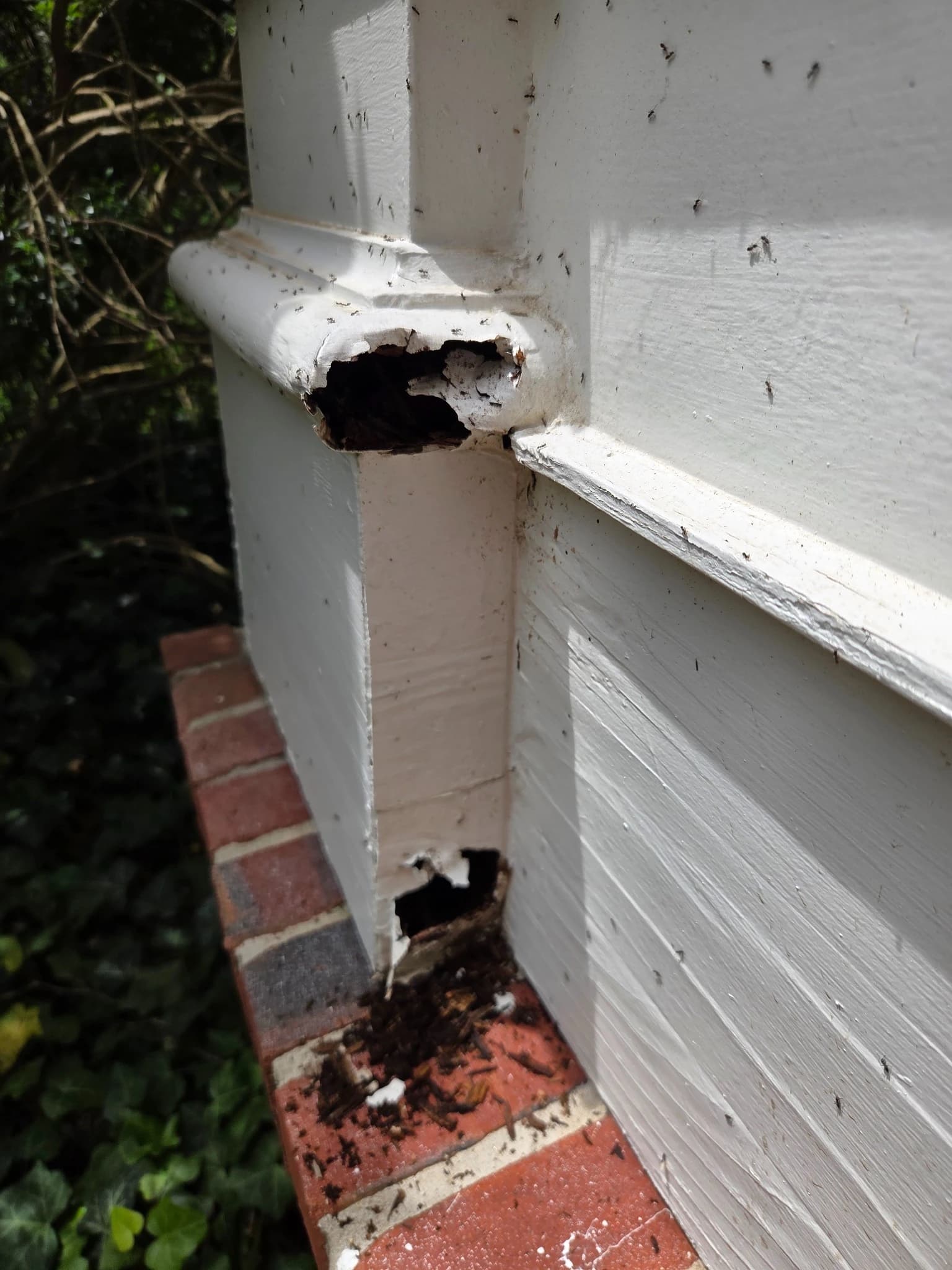 Exterior Trim Repair before